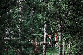 Parco Avventura Pineto